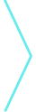 Tiger Riches arrow